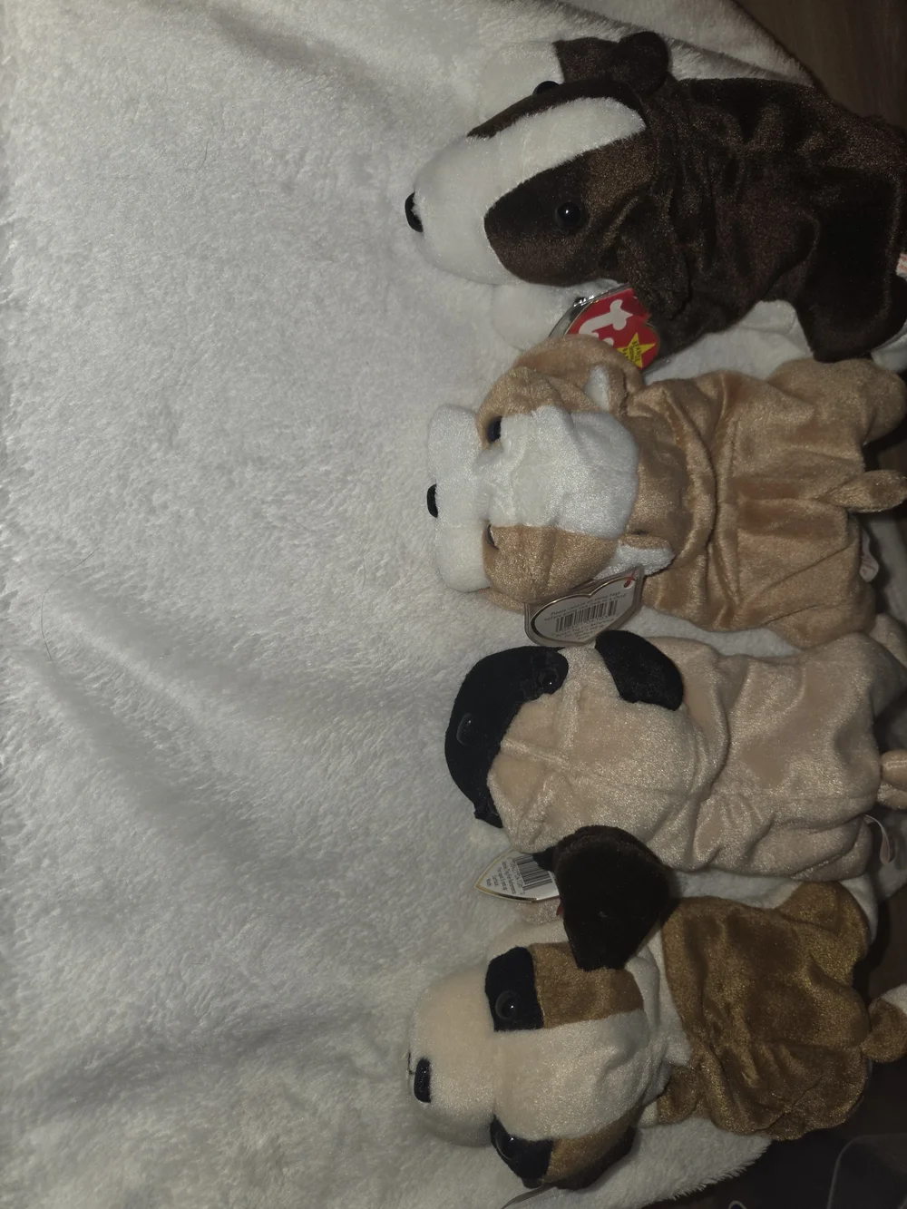 Ty Lot Of 4 Plush Puppy's, Bernie, Wrinkles, Pugsly, Bruno Tags Attached